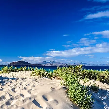 Greentree House Affittacamere Corralejo