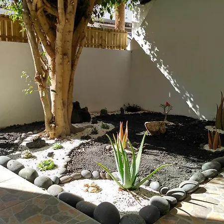 Pensjonat Greentree House Corralejo