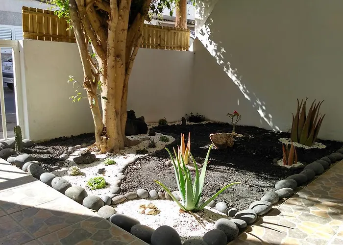 Gasthuis Greentree House Corralejo